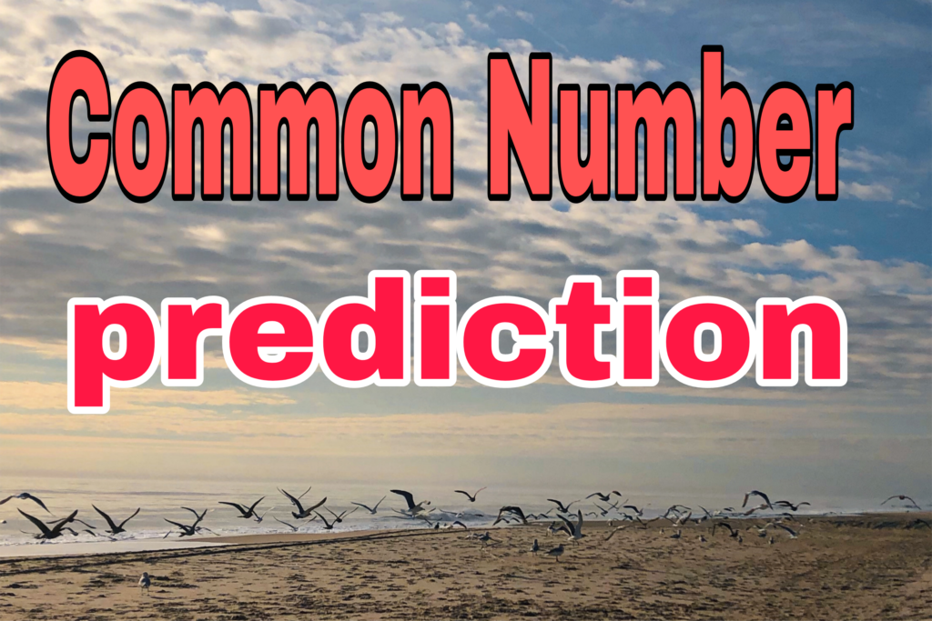 Juwai Ladrymbai Teer result today common number